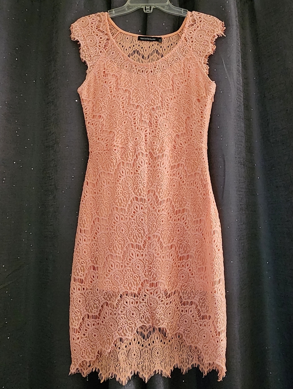Lace Cap-Sleeve Sheath Dress in Blush Pink
